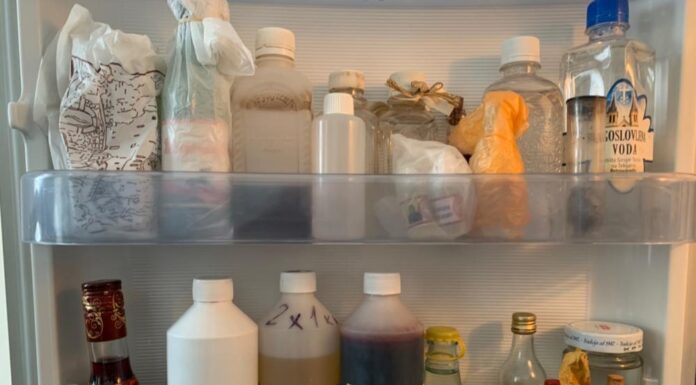 Истражување: Отров кој сите го имаме во фрижидерот, а може да предизвика проблеми со мозокот и крвниот притисок