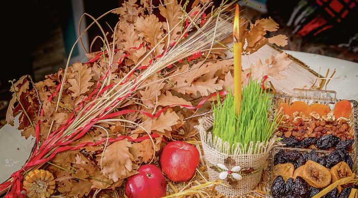 Што треба да се направи со бадниковото дрвце после Божиќ – не треба никако да се фрла на бетон, покрај контејнер