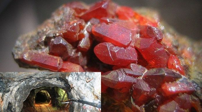 Дали знаете колку чини 1 килограм талиум од рудникот Алшар на светскиот пазар?